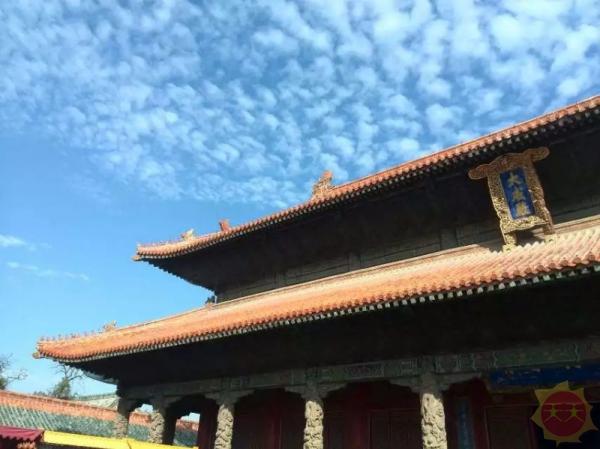 山东印象，多彩齐鲁，自然画卷