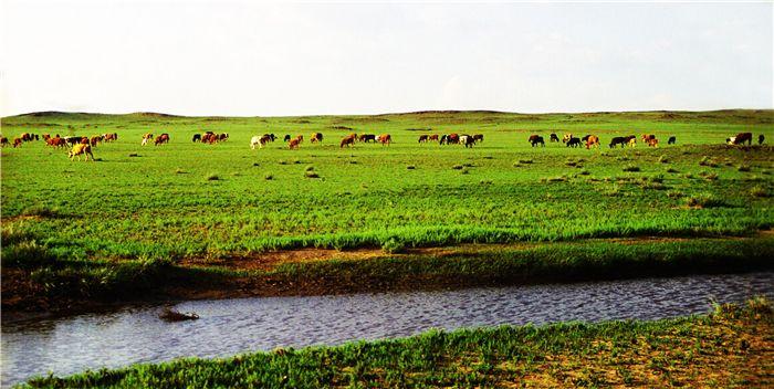 巴彦淖尔，友情与家的温馨一日游