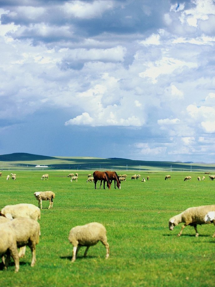 呼伦贝尔，北国风光的摇篮之地